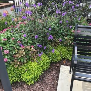 Meet your Posher, Arleen